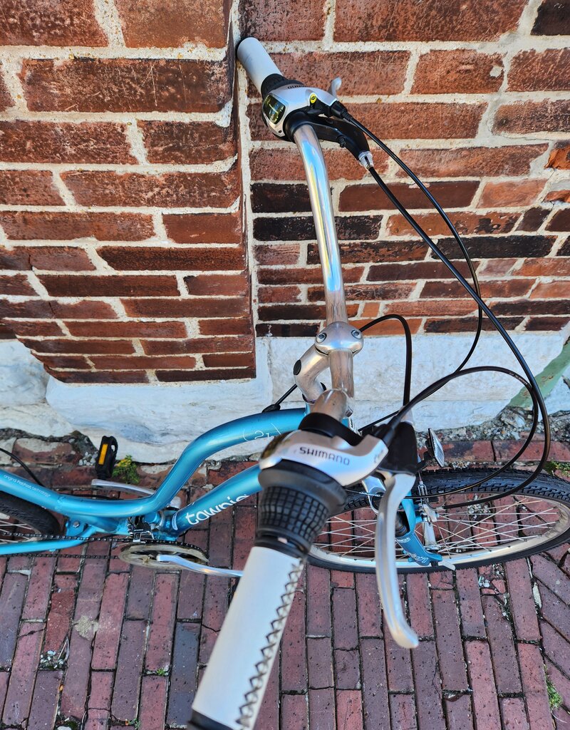 Electra Bike : Electra Townie 21D : OS