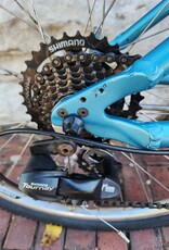 Electra Bike : Electra Townie 21D : OS