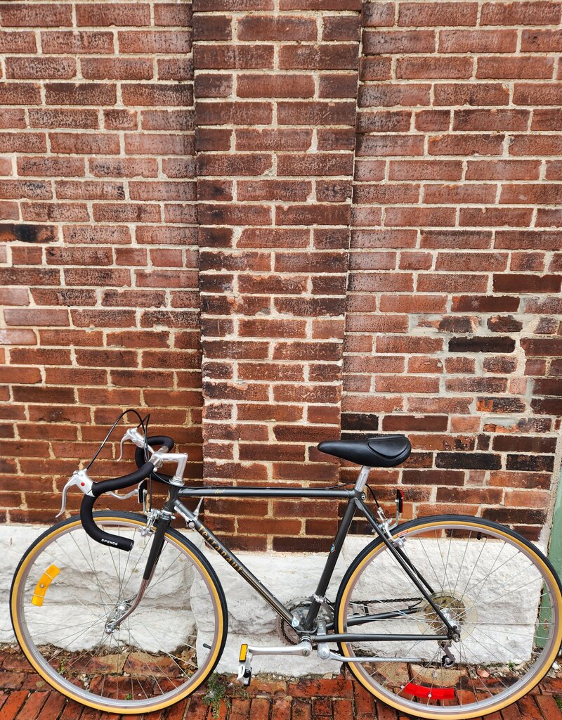 Terranaut Bike : Terranaut Ariel : 50cm