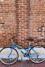 Schwinn Bike : Schwinn Crisscross : 17" step thru