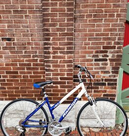 Raleigh Bike : Raleigh C40 : 19" Step Thru