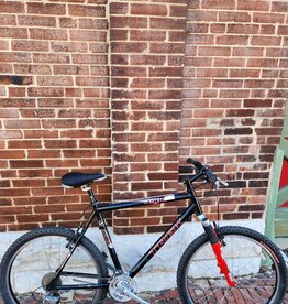 Trek Bike : Trek 4900 : 21"