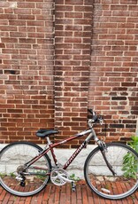 Raleigh Bike : Raleigh C40 : 16"
