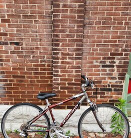 Raleigh Bike : Raleigh C40 : 16"