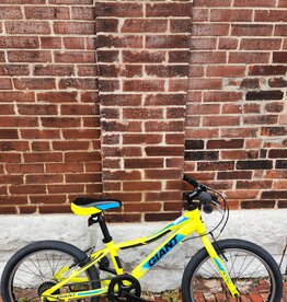 Giant Bike : Giant XTC Jr : K20" wheel
