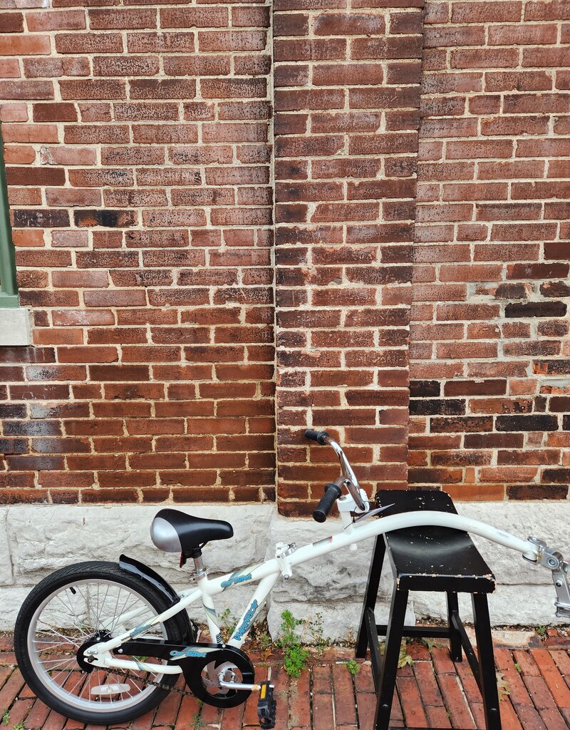 co-pilot Bike: Wee Ride - Co Pilot