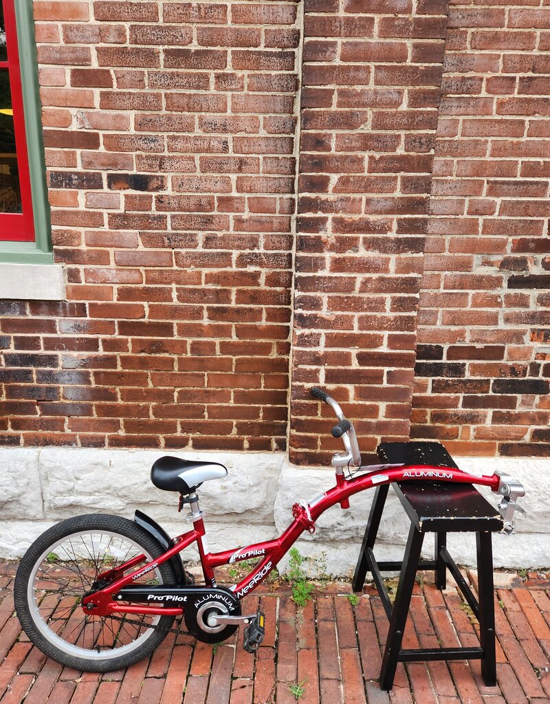co-pilot Bike: Wee Ride - Co Pilot