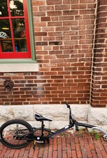 Bike : K20" wheel Schwinn Tag-a-long