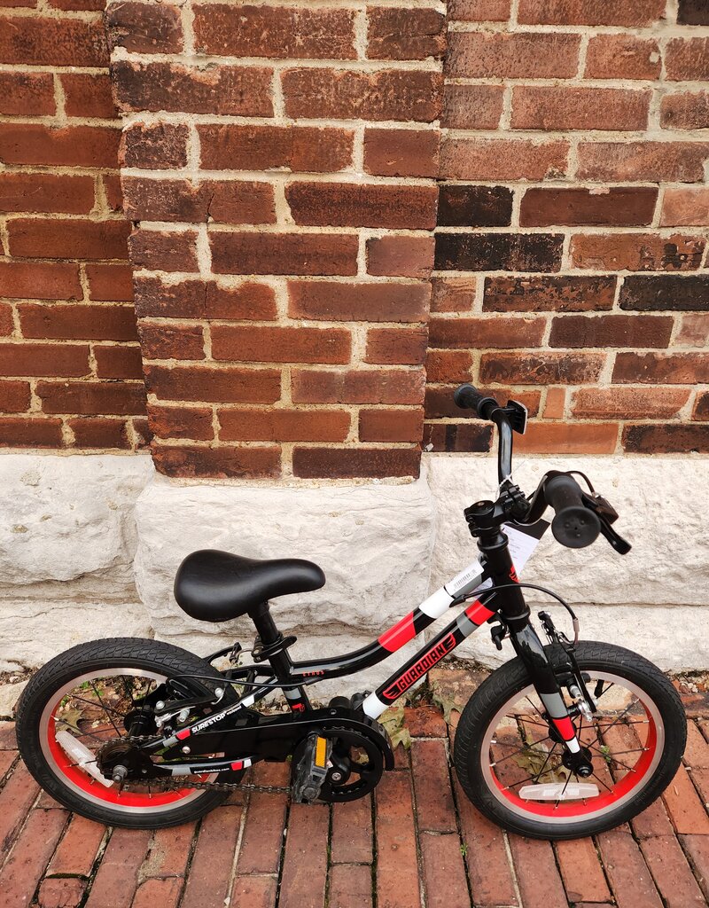 Bike : Guardian Ethos : K14" wheel