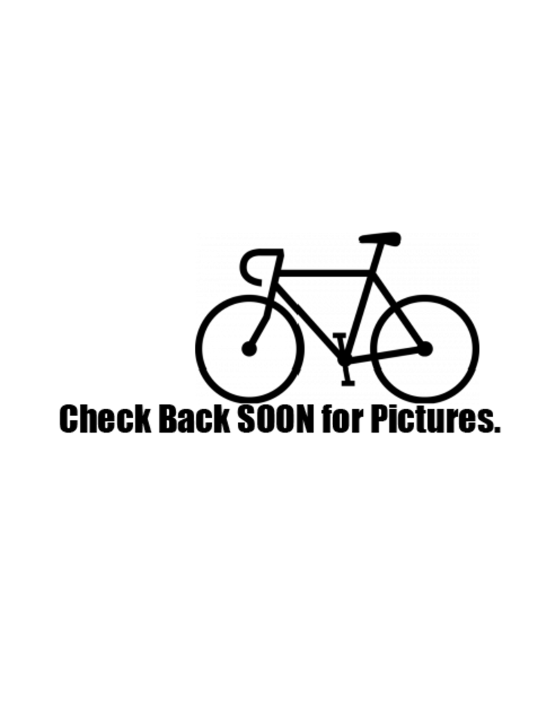 Bike : Guardian Ethos : K20" wheel