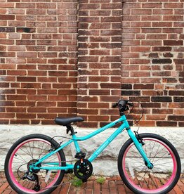 Bike : Guardian Ethos : K20" wheel