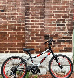 Bike : Guardian Ethos : K20" wheel