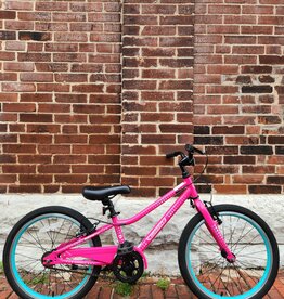 Bike : Guardian Ethos : K20" wheel