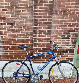 Bike : DevincI Milano : 22"