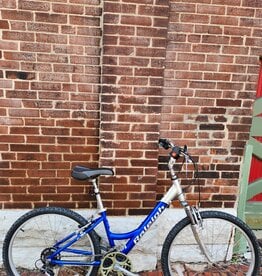 Raleigh Bike : Raleigh SC30 : 16" Step Thru