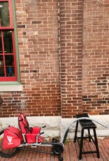 Bike : Weehoo recumbant Tag-a-long : K20" wheel