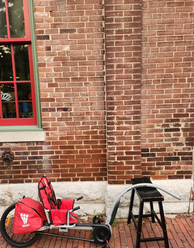 Bike : Weehoo recumbant Tag-a-long : K20" wheel