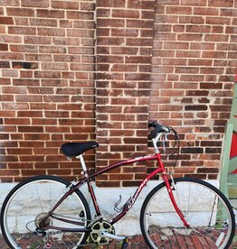 Schwinn Bike : Schwinn Searcher : 19"