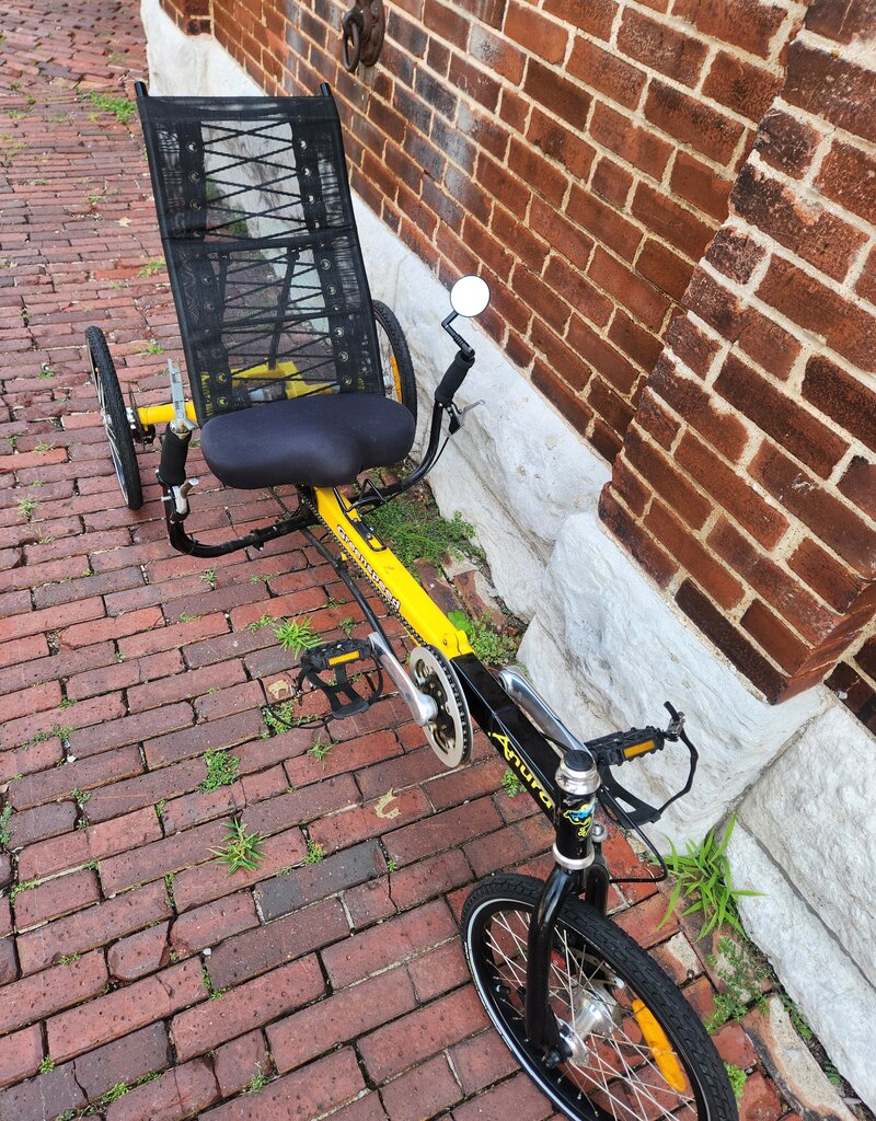 Bike : GreenSpeed Anura Trike : O/S : Delta ATS Drive
