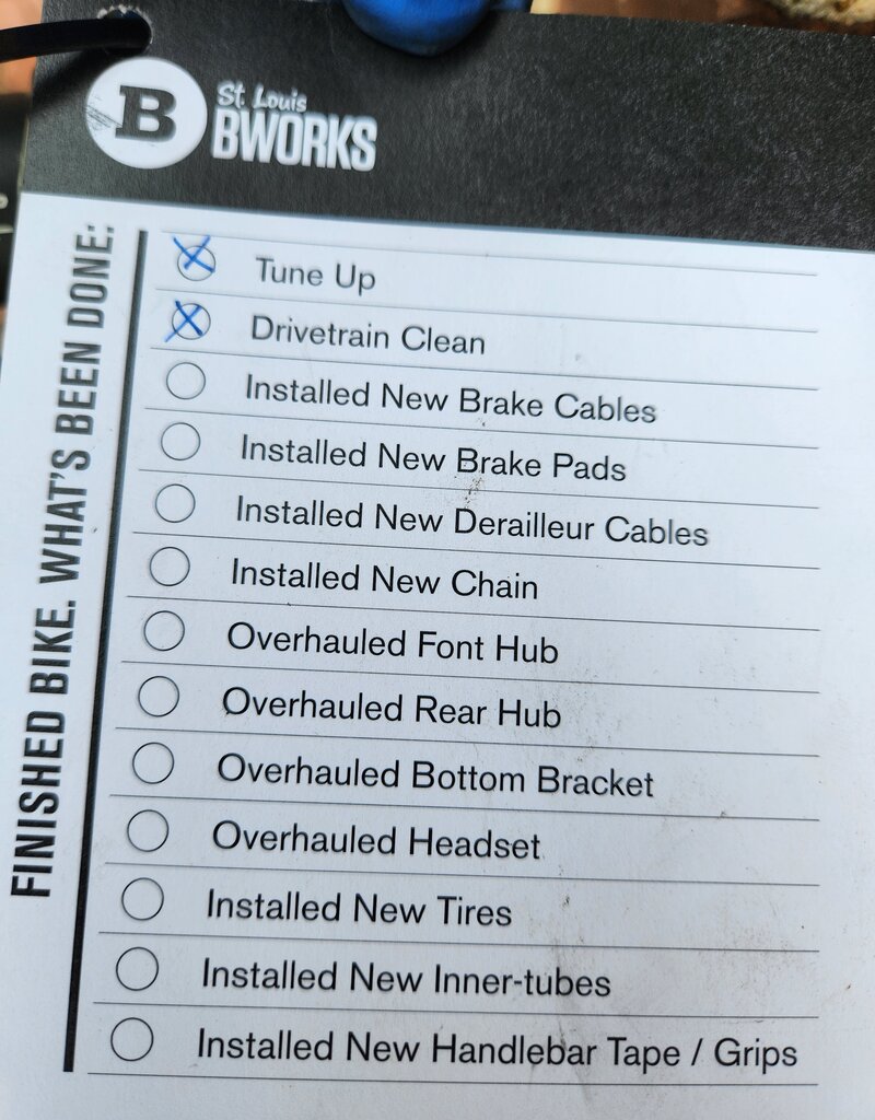 Felt Bike : Felt Z100 : 43cm