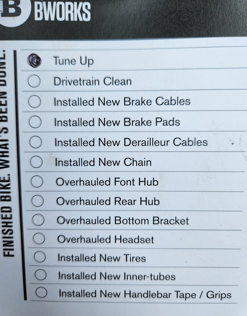 Bike : Volap Expedition : Recumbent