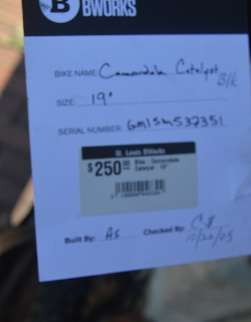 Cannondale Bike : Cannondale Catalyst : 19"