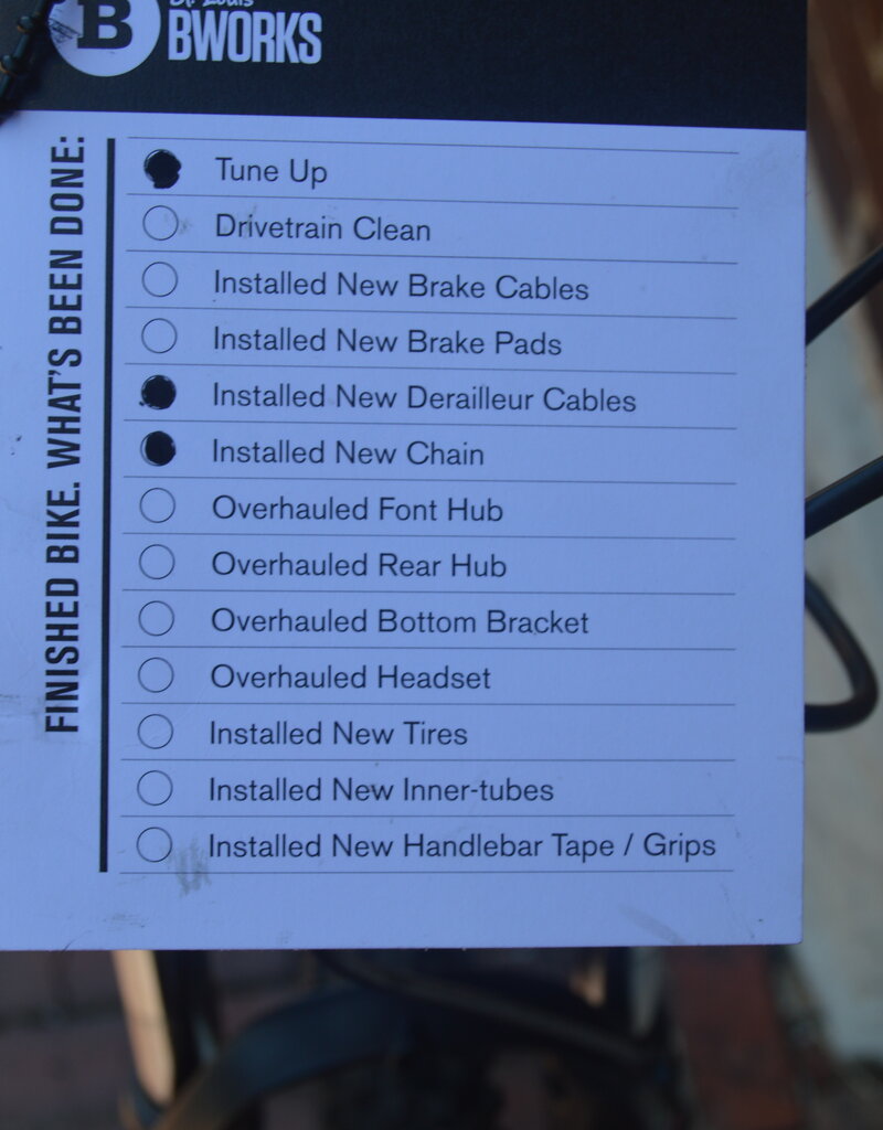 Cannondale Bike : Cannondale Catalyst : 19"