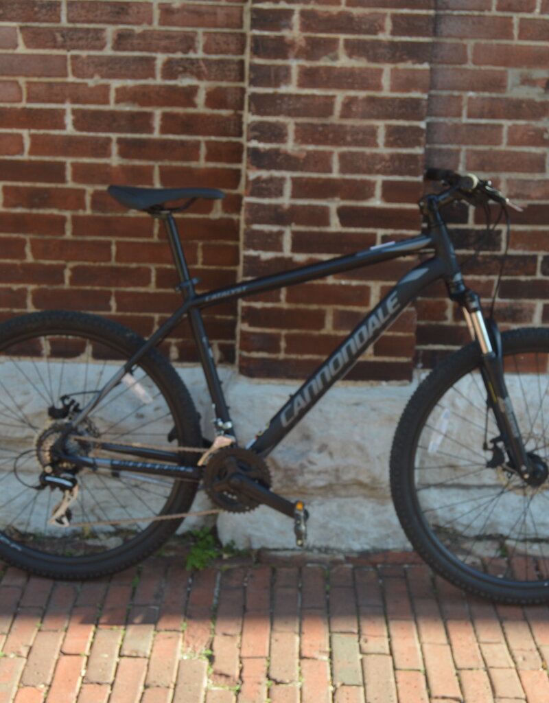 Cannondale Bike : Cannondale Catalyst : 19"