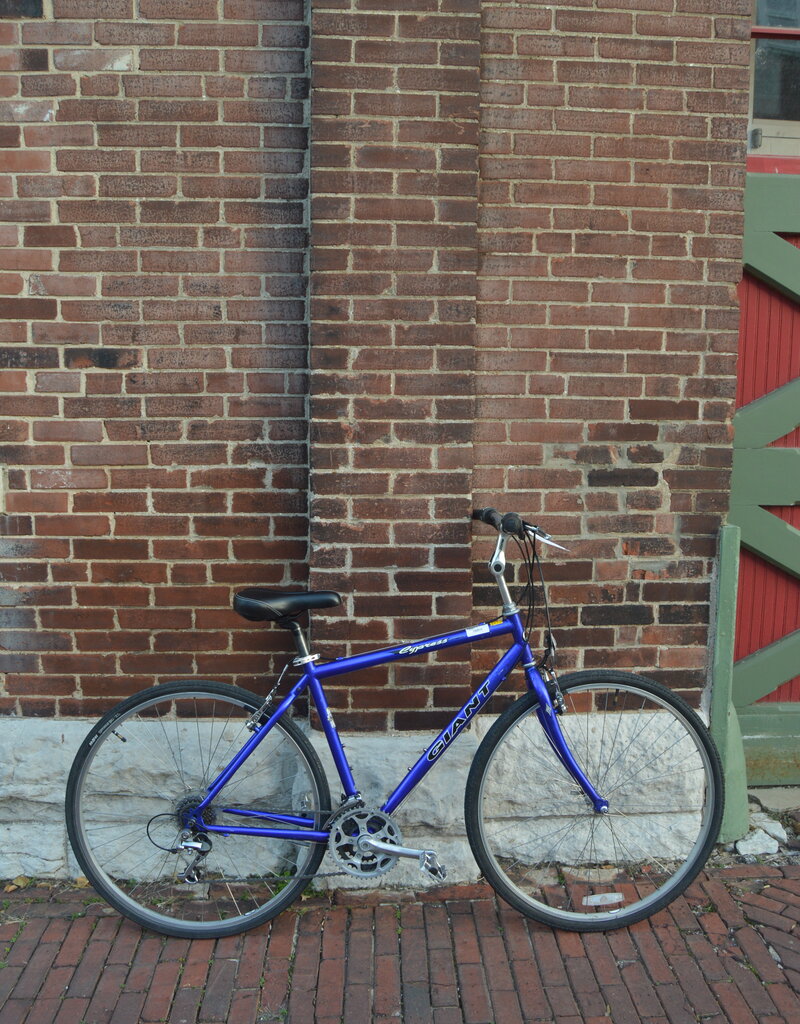 Giant Bike : Giant Cypress : 17.5"