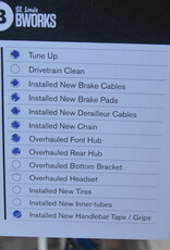 Fuji Bike : Fuji Supreme : 21"