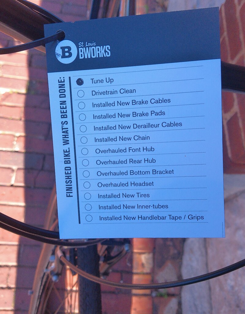 Bike : Priority Hail Yourself 3spd Belt : 19"