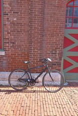 Bike : Priority Hail Yourself 3spd Belt : 19"