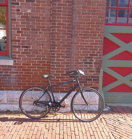 Bike : Priority Hail Yourself 3spd Belt : 19"