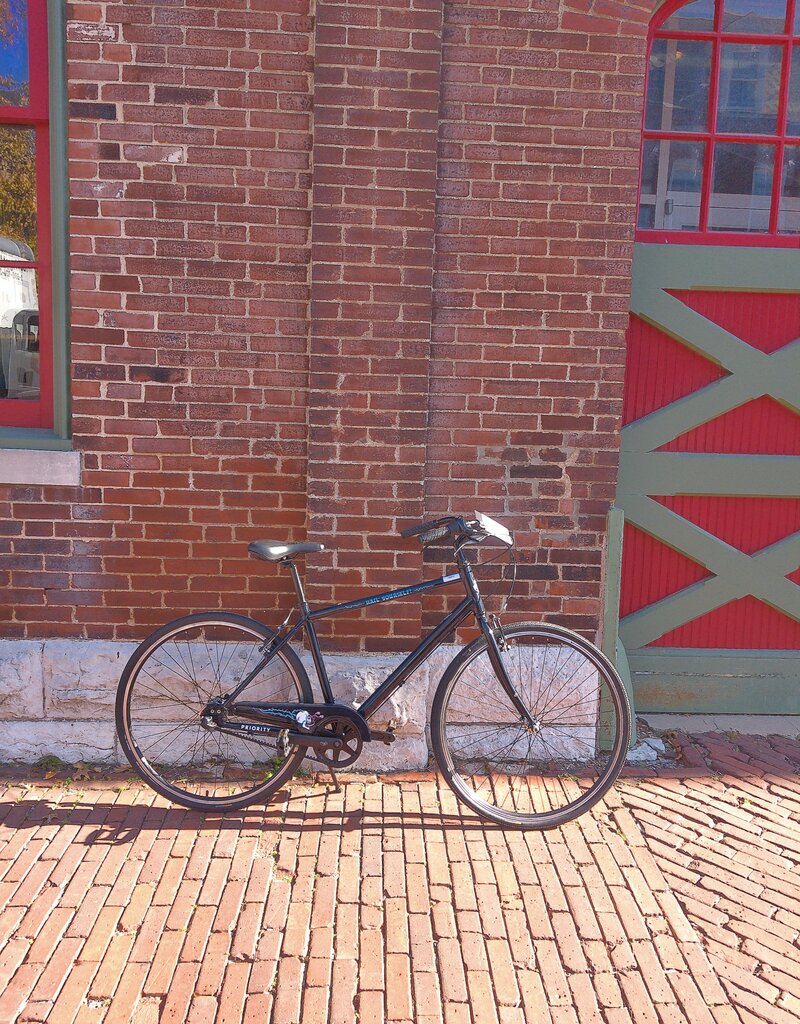 Bike : Priority Hail Yourself 3spd Belt : 19"