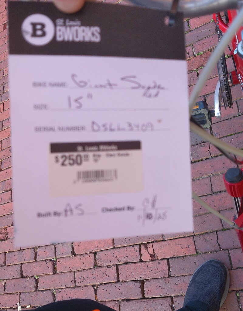 Giant Bike : Giant Suede : 15"