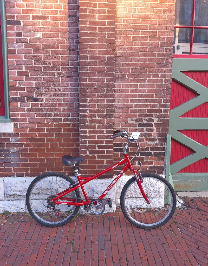 Giant Bike : Giant Suede : 15"