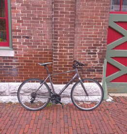 Giant Bike : Giant Escape : 21"