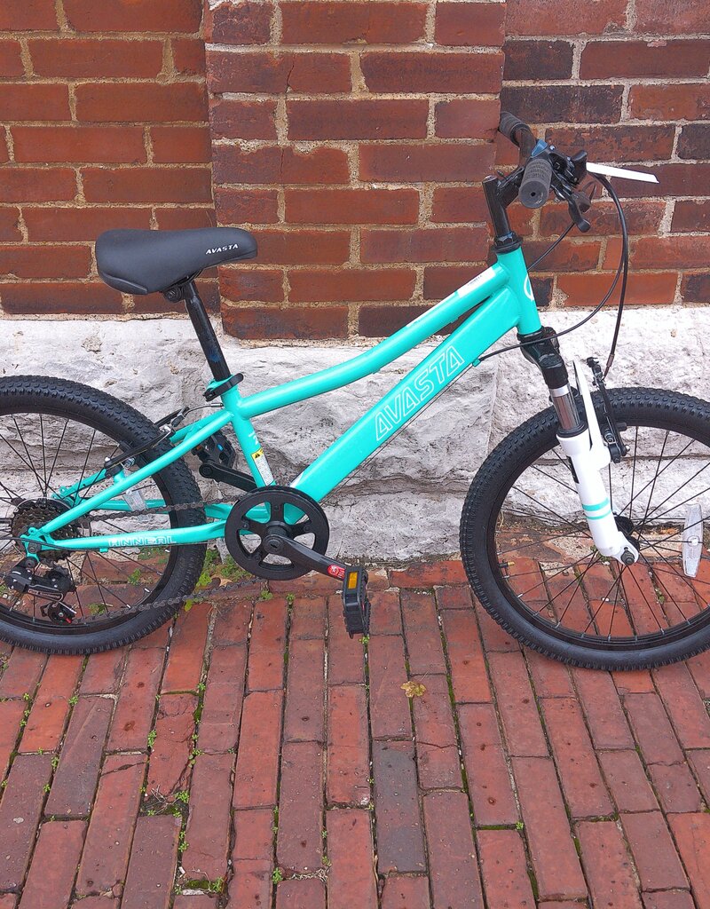 Bike: Avasta Anneal: 20"wheel