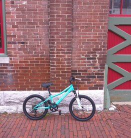 Bike: Avasta Anneal: 20"wheel