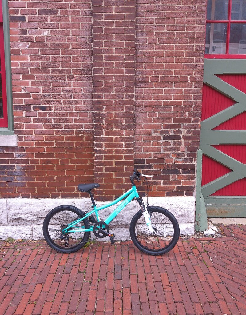 Bike: Avasta Anneal: 20"wheel