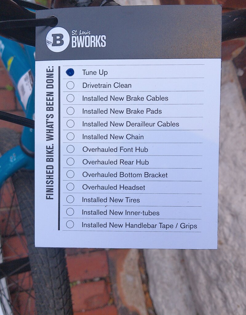 Bike : CO-OP Rev 20 : K20