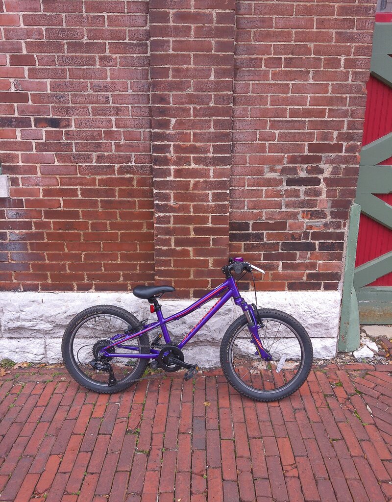 Specialized Bike : Specialized HotRock : K20" wheel