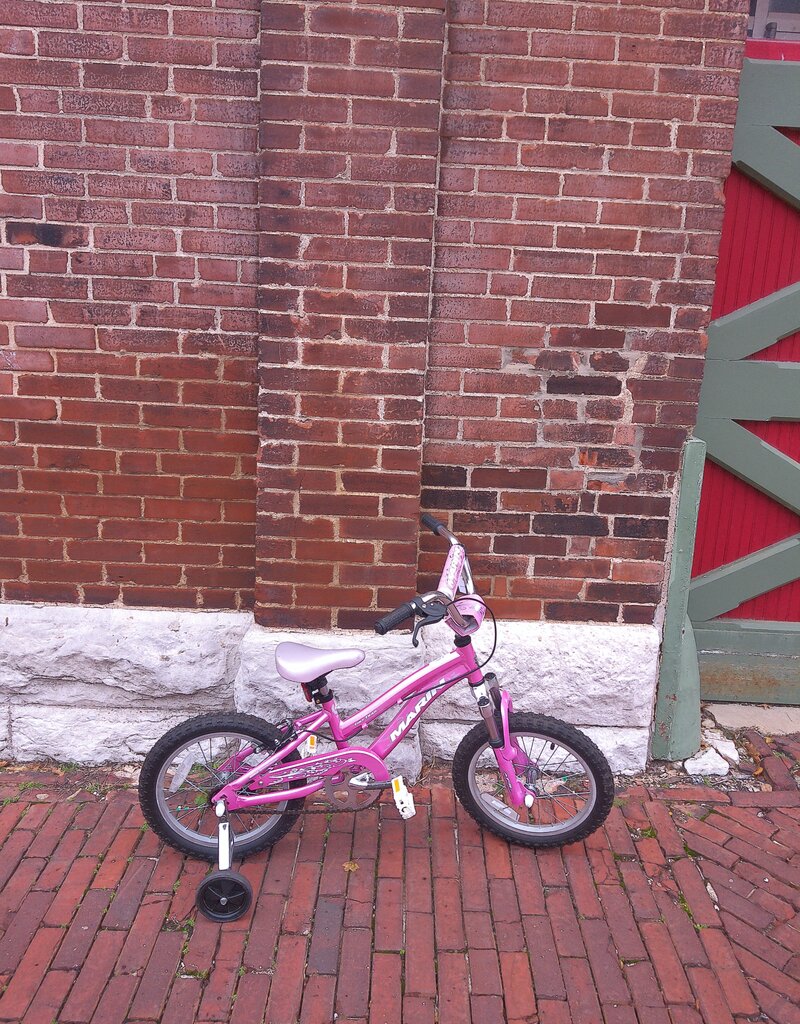 Marin Bike : Marin Tiny Trail : K16" wheel