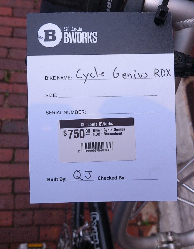 Cycle Genius Bike : Cycle Genius RDX : Recumbent