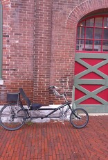 Cycle Genius Bike : Cycle Genius RDX : Recumbent