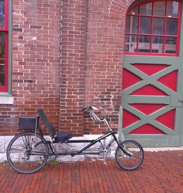 Cycle Genius Bike : Cycle Genius RDX : Recumbent