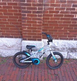 GT Bike : GT Grunge : K16