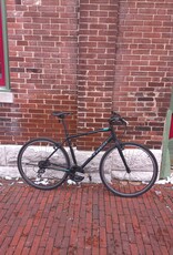 Trek Bike : Trek FX2 : 20"