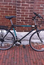 Schwinn Bike : Schwinn Crisscross : 20.5"