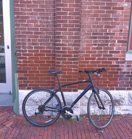 Trek Bike : Trek 7.4FX : 20"